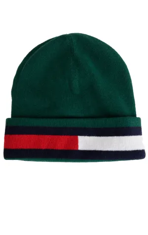 AM DIno Gifting Beanie - Green