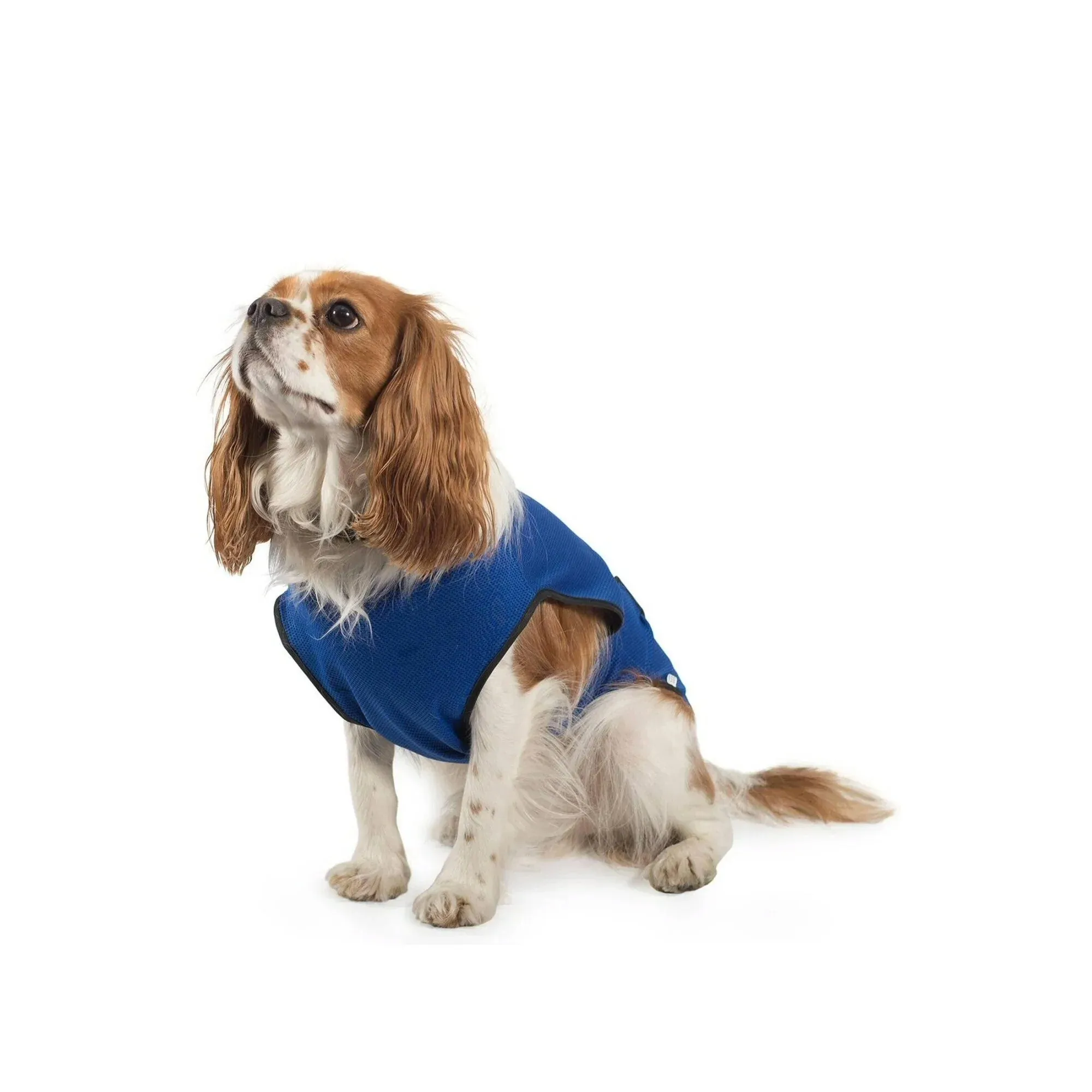 Ancol 30cm Cooling Dog Vest- Small