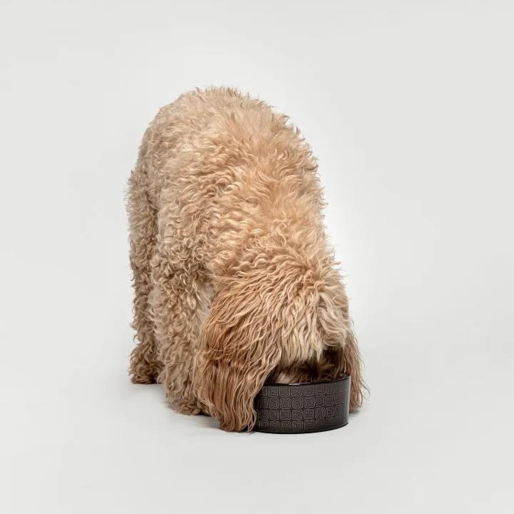 Cloud7 Dog Food and Water Bowl, Ferran Mocha