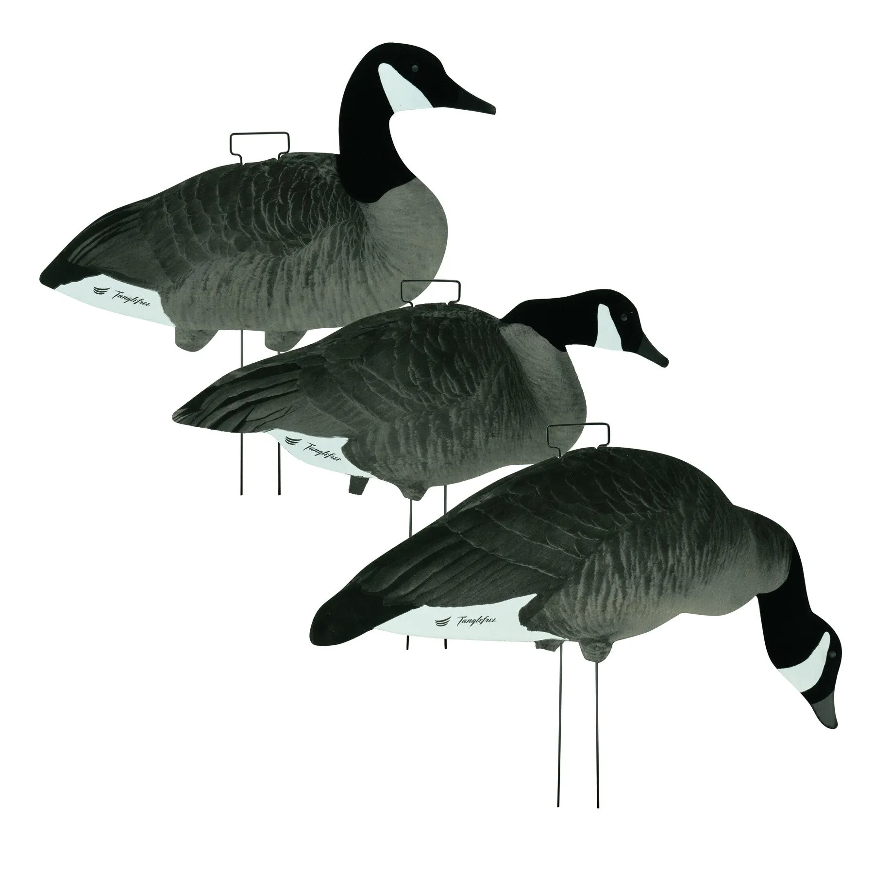 Fully Flocked Canada Skinny Decoys (12 Pack)