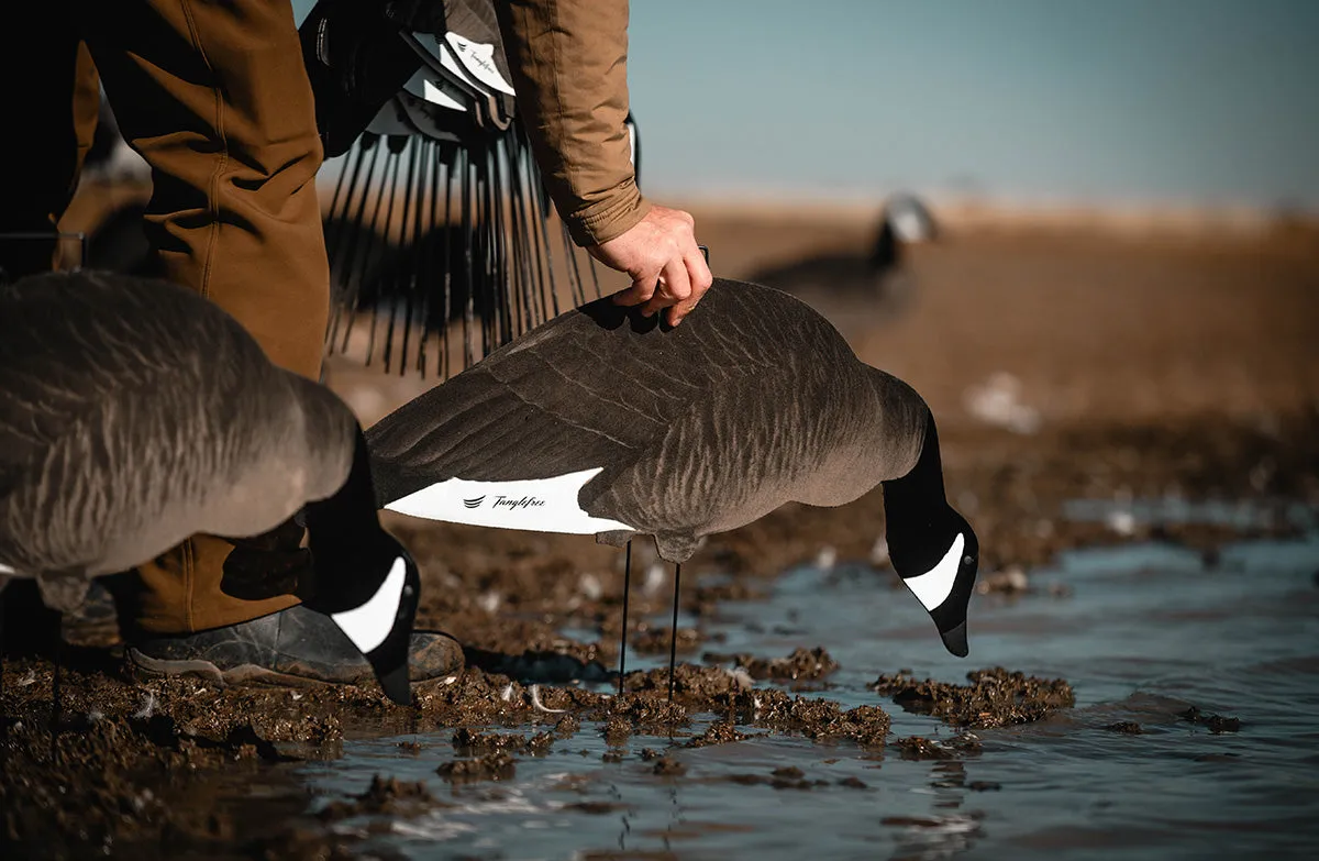 Fully Flocked Canada Skinny Decoys (12 Pack)